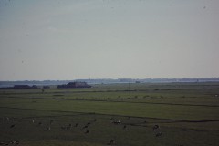 NOVATEK CAMERA