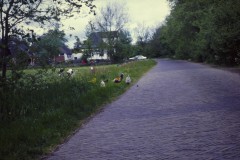 NOVATEK CAMERA