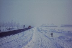 NOVATEK CAMERA