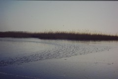 NOVATEK CAMERA