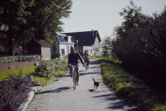 NOVATEK CAMERA