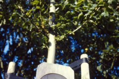 NOVATEK CAMERA