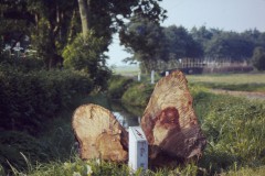 NOVATEK CAMERA