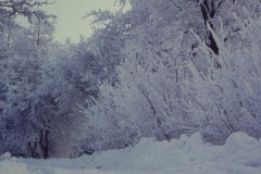 NOVATEK CAMERA