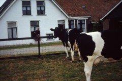 NOVATEK CAMERA