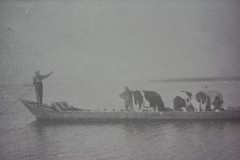 NOVATEK CAMERA