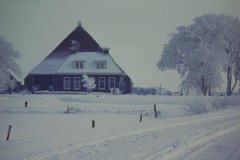 NOVATEK CAMERA