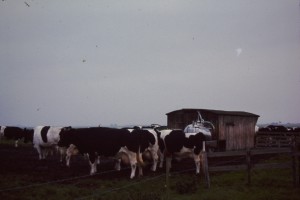 Grote doos