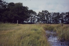 NOVATEK CAMERA
