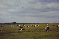 NOVATEK CAMERA