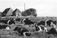 img15042023_072